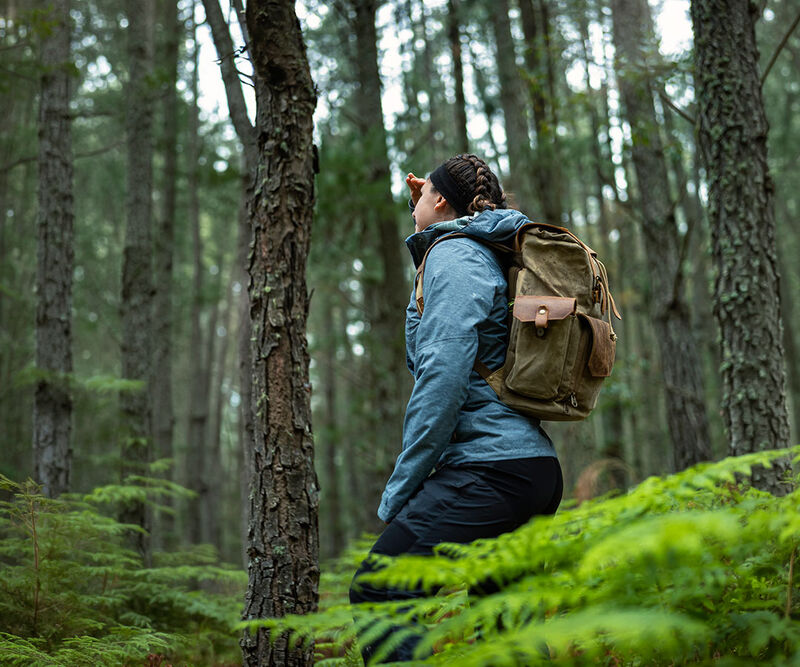 Excursionista con mochila observando el entorno en un bosque de pinos